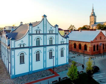 Эксперты ЕГУ и ICOMOS-Беларусь обсудили литовский опыт работы с еврейским наследием